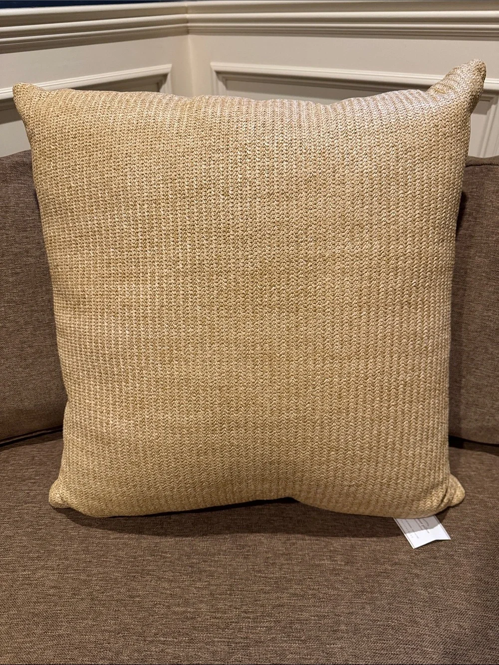 NWT POTTERY BARN Natural Fiber Pillows